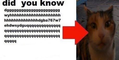 dia you know 99999999999999999999999 hhhhhhhhhhhhhhdgba767w7 99999
