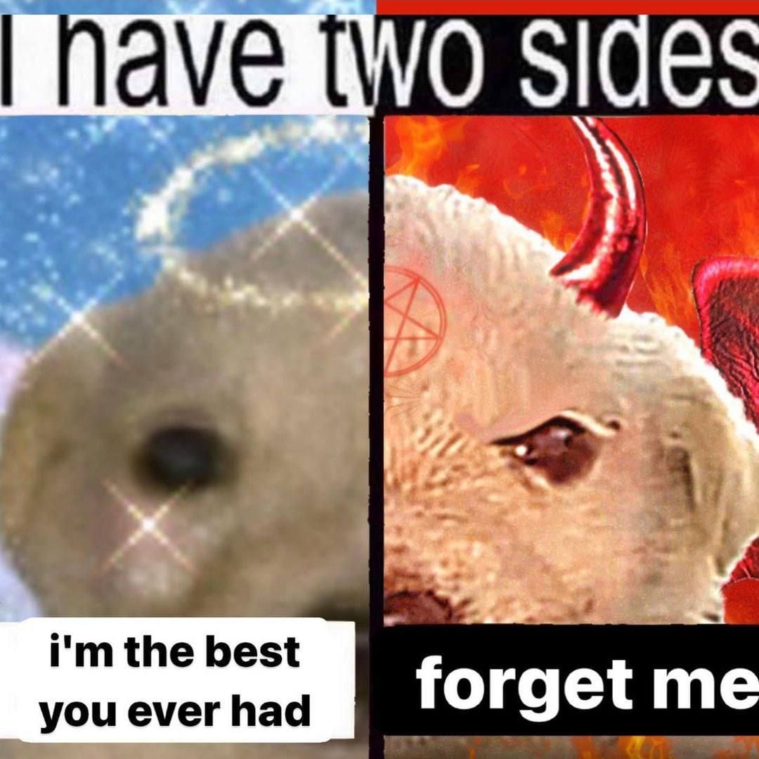 Sides the best you ever had forget me
