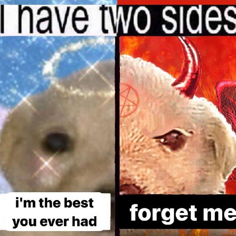 Sides the best you ever had forget me