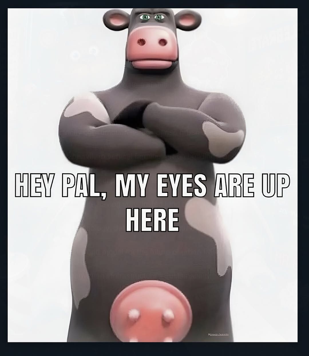 MY EYES