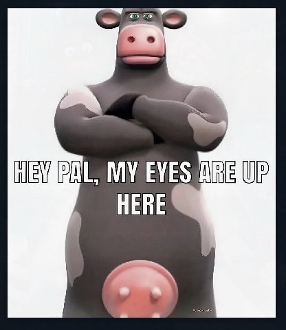 MY EYES