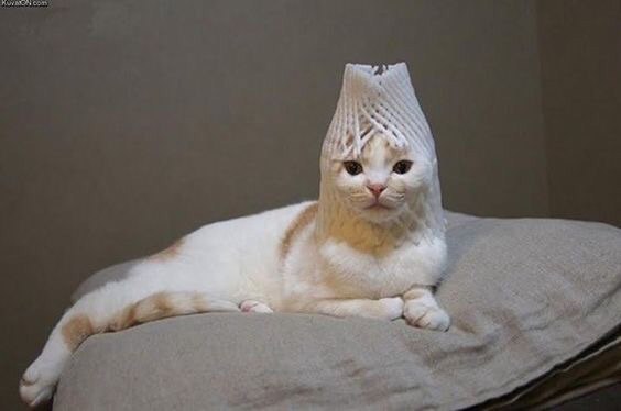С