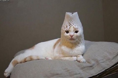 С