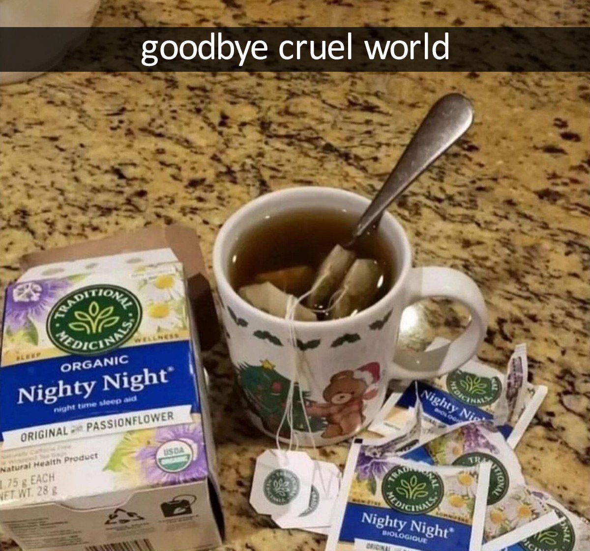 goodbye cruel world