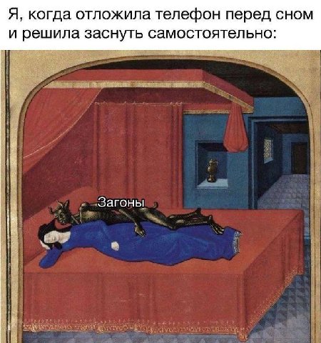 Я, когда отложила телефон перед сном и решила заснуть самостоятельно: Загоны