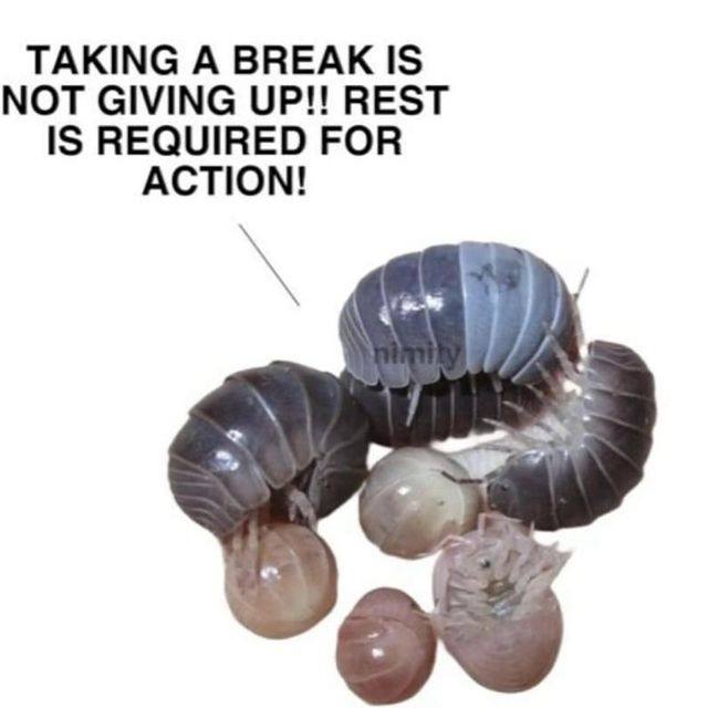 TAKING A BREAK IS NOT GIVING UP!! REST IS REQUIRED FOR ACTION!