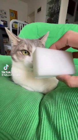 мем