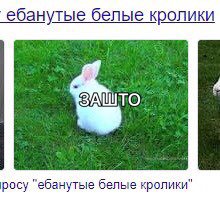 я и конфликт по работе