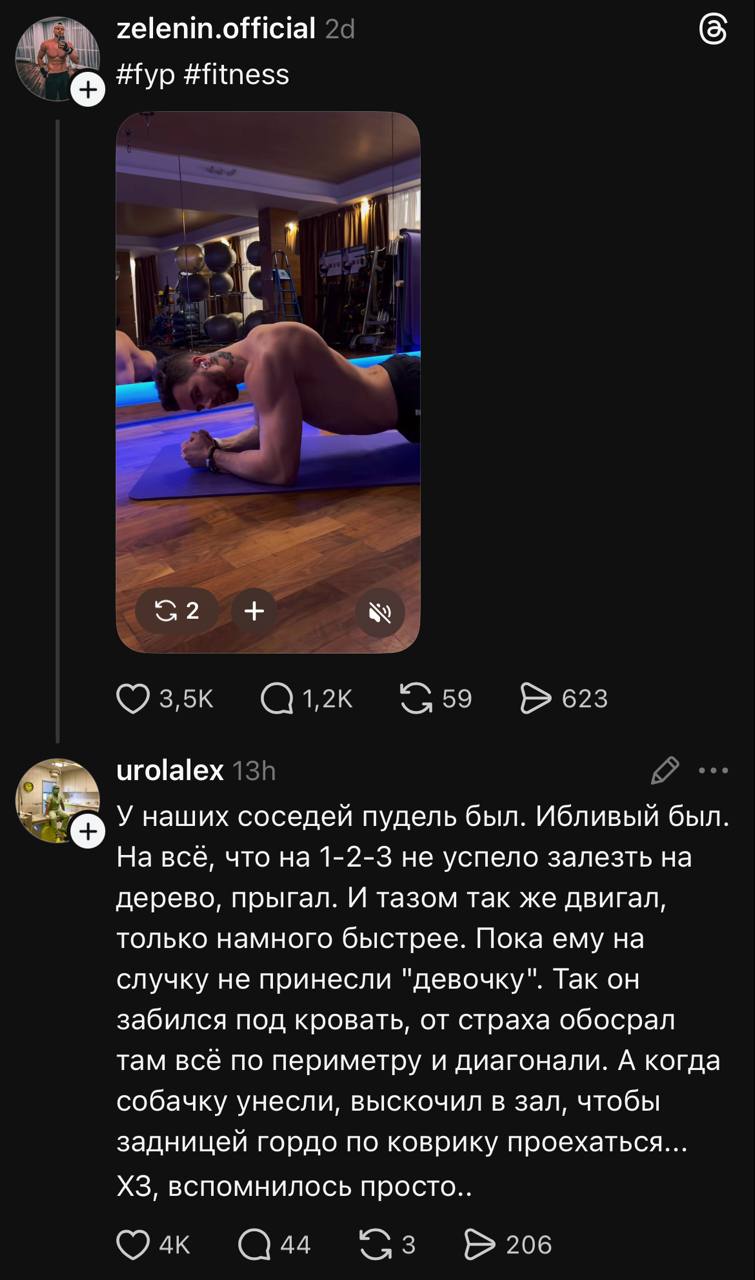 zelenin.official Нур #fitness A у у urolalex У наших соседей пудель был. Ибливый был. На все, что на 1-2-3 не успело залезть на дерево, прыгал. И тазом так же двигал, только намного быстрее. Пока ему 