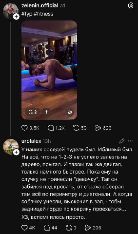 zelenin.official Нур #fitness A у у urolalex У наших соседей пудель был. Ибливый был. На все, что на 1-2-3 не успело залезть на дерево, прыгал. И тазом так же двигал, только намного быстрее. Пока ему 