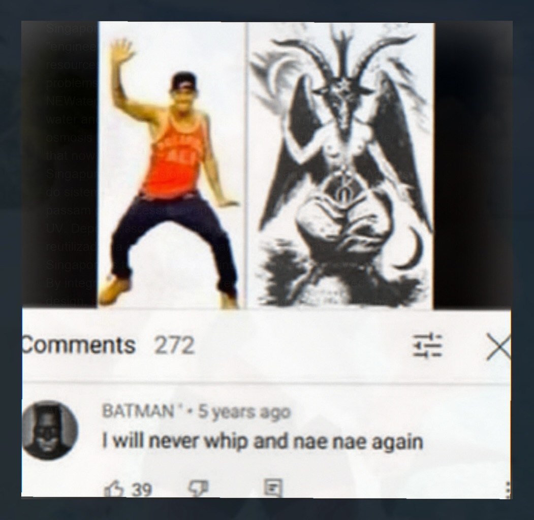 4 omments 27: will never whip and nae nae again 39