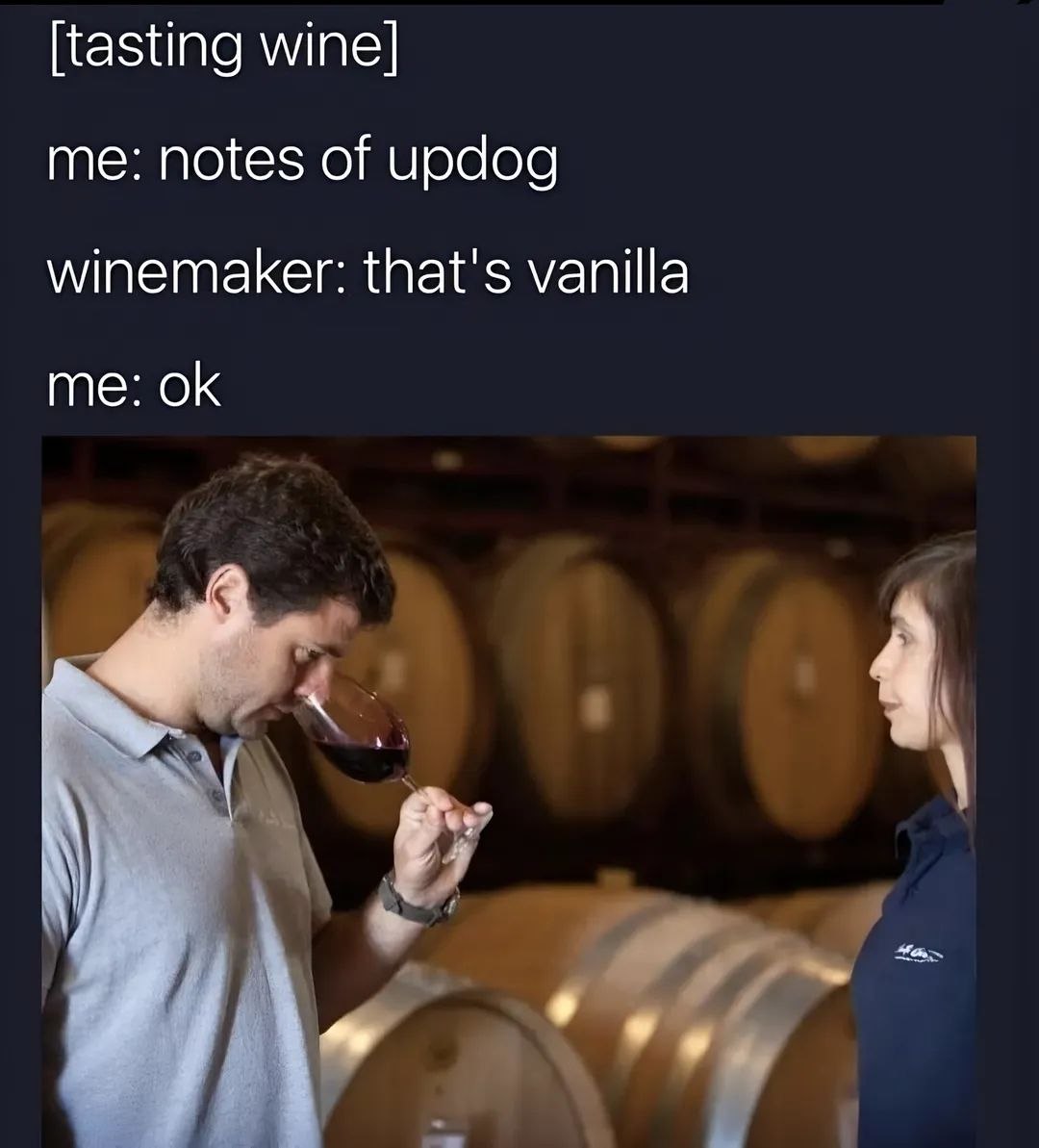 [tasting wine] me: notes of updog winemaker: that's vanilla me: