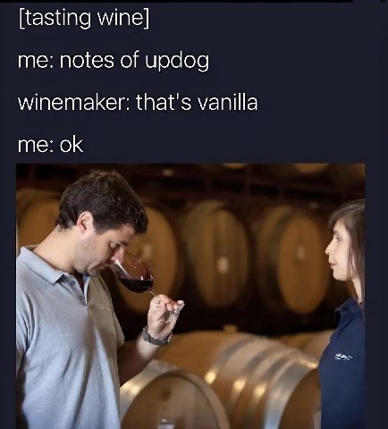 [tasting wine] me: notes of updog winemaker: that's vanilla me: