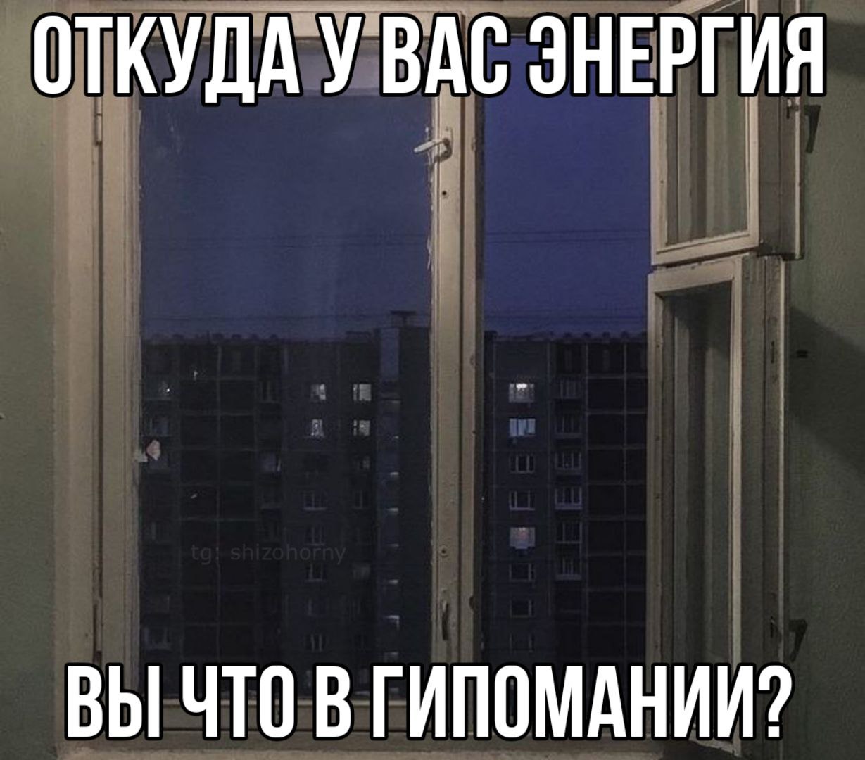 ОТКУДА У ВАС ЭНЕРГИЯ ВЫ ЧТО В ГИПОМАНИИ?
