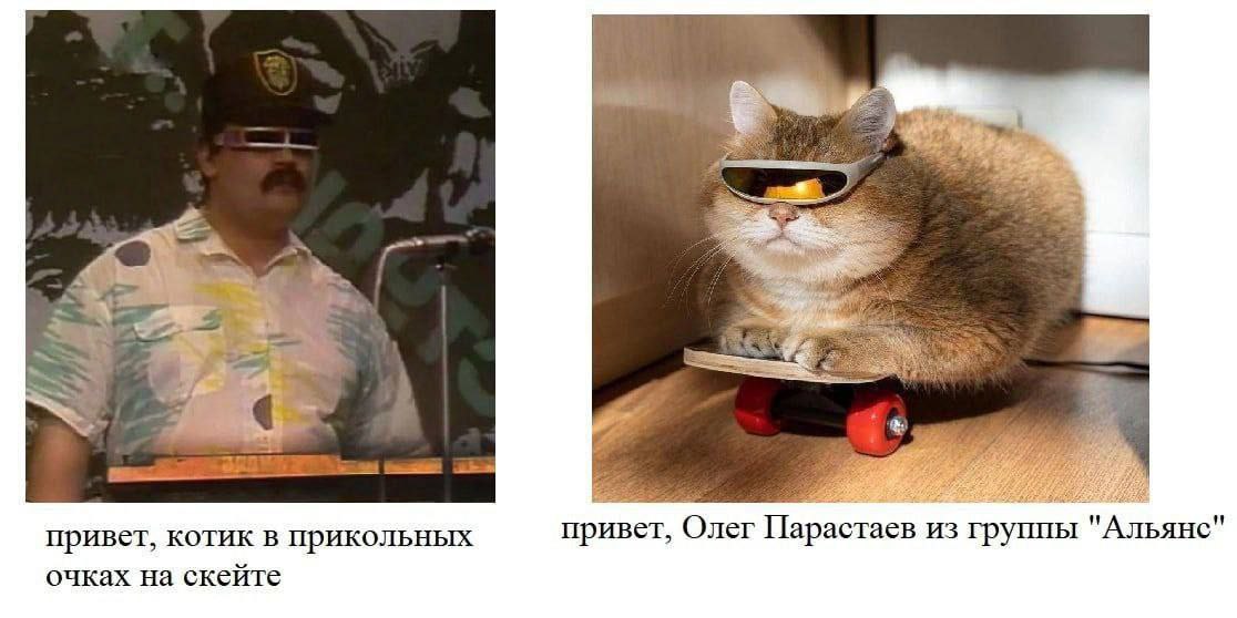 С привет, котик в прикольных привет, Олег Парастаев из группы "Альянс" очках на скейте