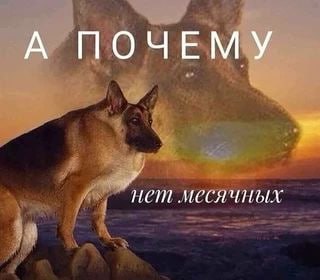 А ПОЧЕМУ нет месячных