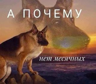 А ПОЧЕМУ нет месячных