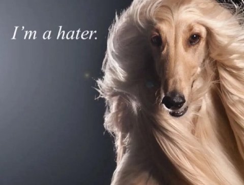а hater. 4
