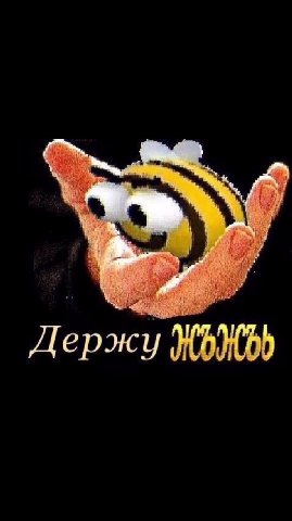 J ержу ЖЫЖЬЬ