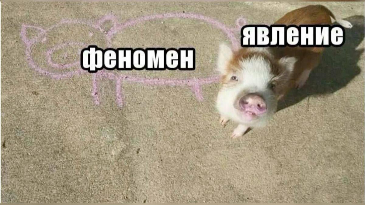у