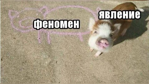 у