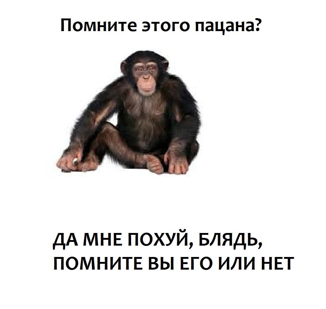 Помните этого пацана? ДА МНЕ ПОХУЙ, БЛЯДЬ, ПОМНИТЕ ВЫ ЕГО ИЛИ НЕТ