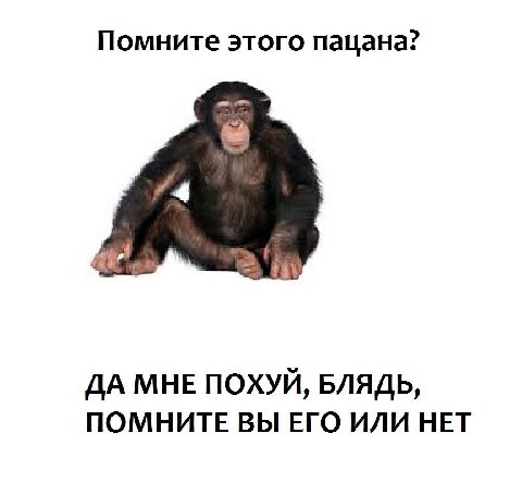 Помните этого пацана? ДА МНЕ ПОХУЙ, БЛЯДЬ, ПОМНИТЕ ВЫ ЕГО ИЛИ НЕТ