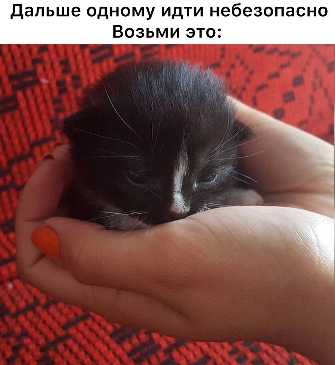 Дальше одному идти небезопасно Возьми это: