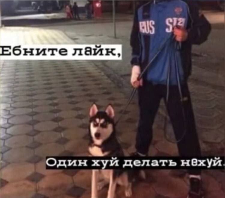 as Ебните лайк, Один хуй делать нехуй. 5
