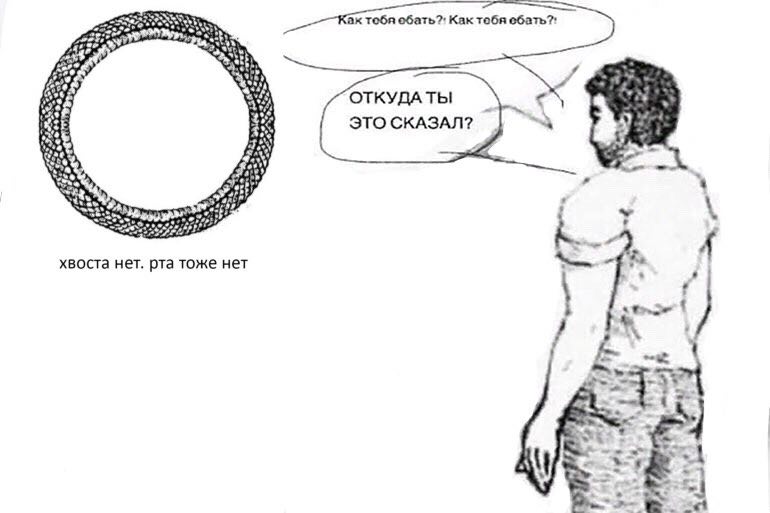 тобя обать?' Как тобя и A ОТКУДА ТЫ ЭТО СКАЗАЛ? 2 К. 6 4 хвоста нет. рта тоже нет i у