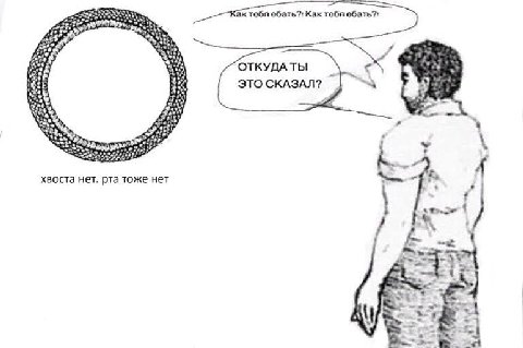 тобя обать?' Как тобя и A ОТКУДА ТЫ ЭТО СКАЗАЛ? 2 К. 6 4 хвоста нет. рта тоже нет i у