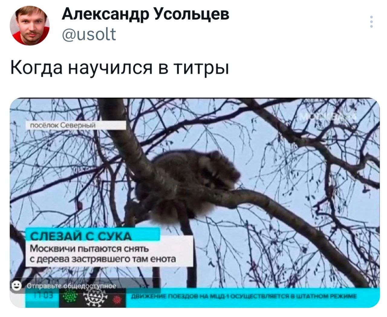 Александр Усольцев с @usolt Когда научился в титры Северный и с aT С СУКА WETS Москвичи пытаются снять с дерева застрявшего там енота А У отправьте общедоступное
