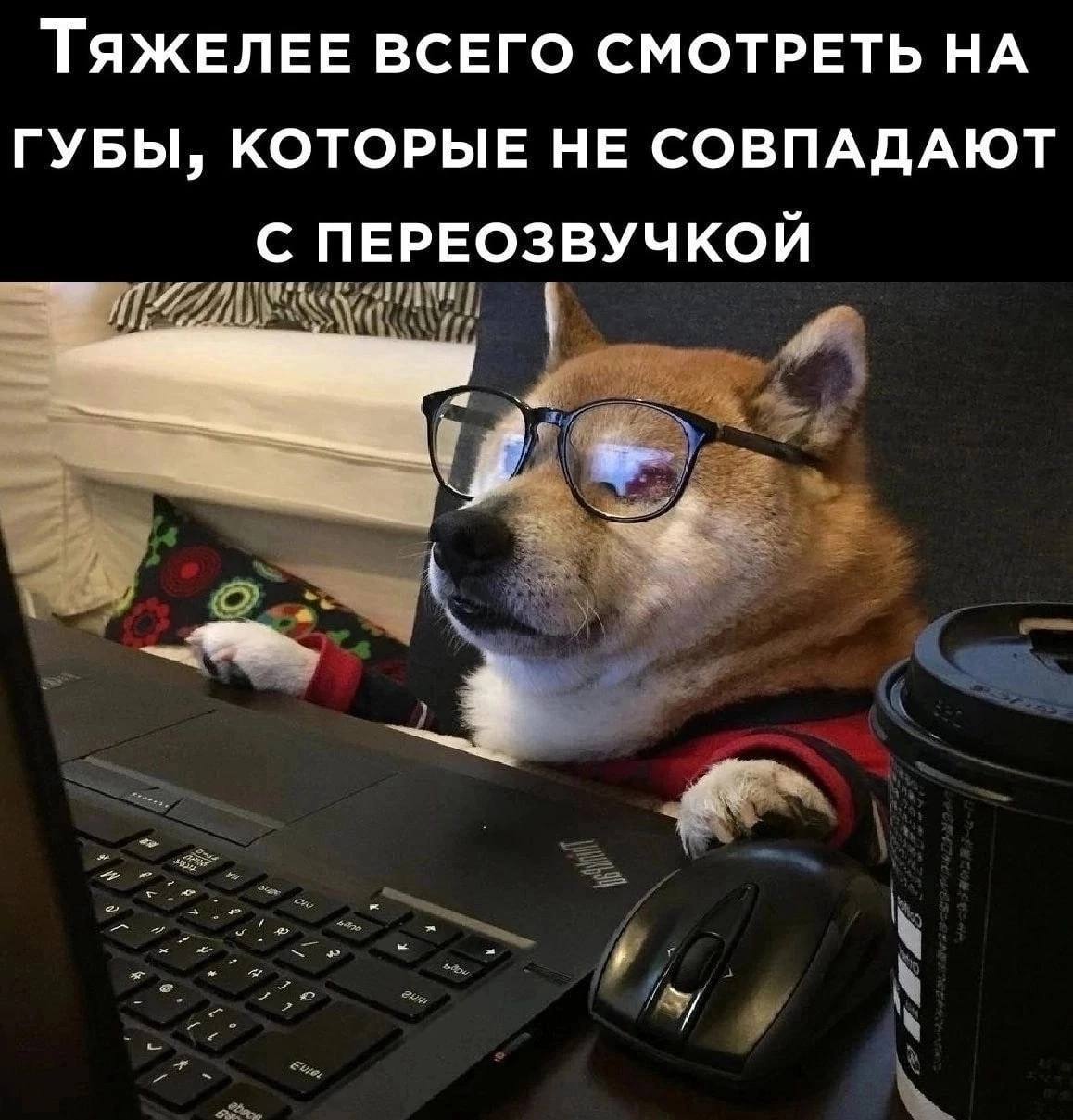 ТяжеЛЕЕ ВСЕГО СМОТРЕТЬ НА ГУБЫ, КОТОРЫЕ НЕ СОВПАДАЮТ С ПЕРЕОЗВУЧКОЙ 2