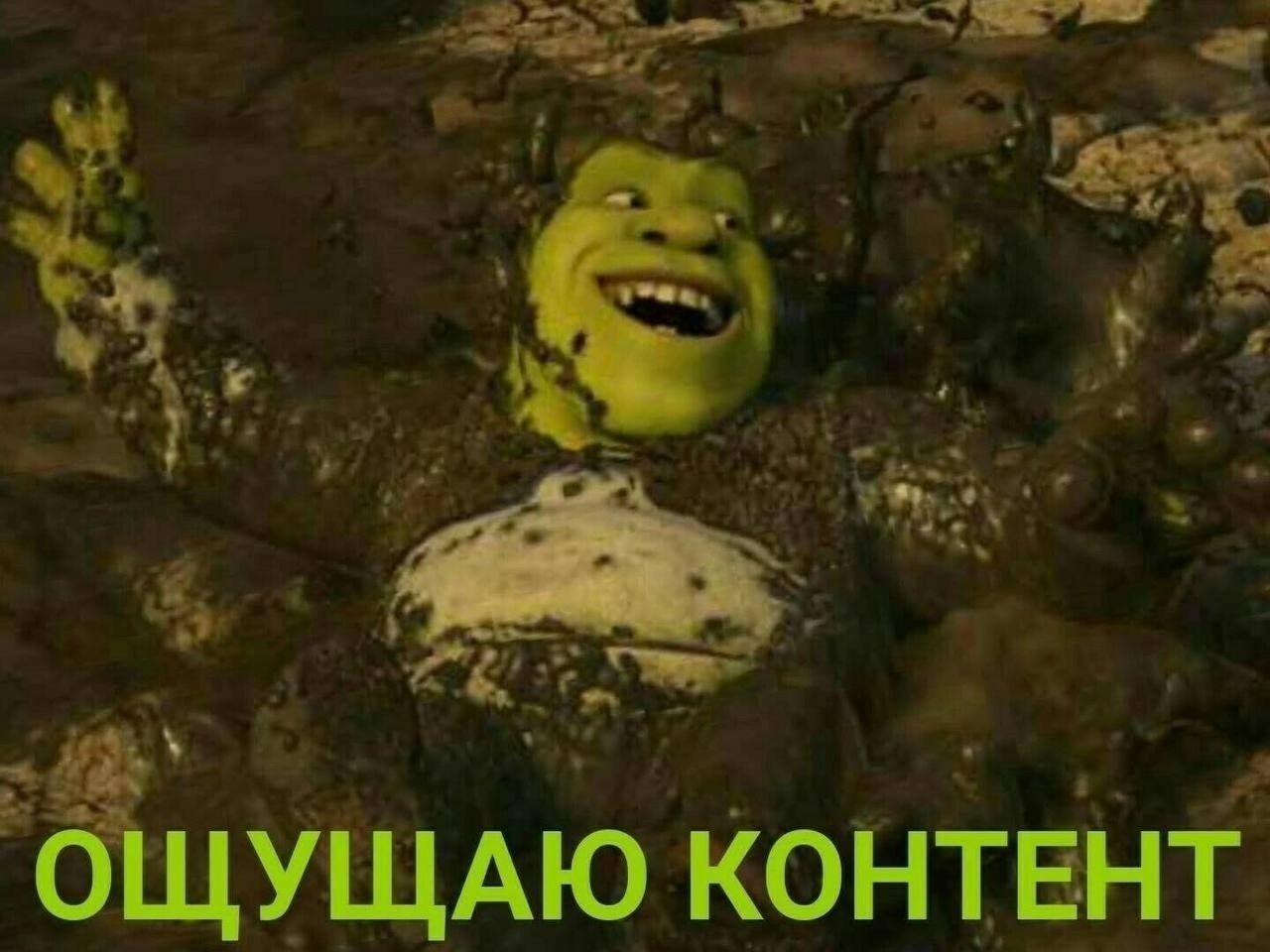 ОЩУЩАЮ КОНТЕНТ