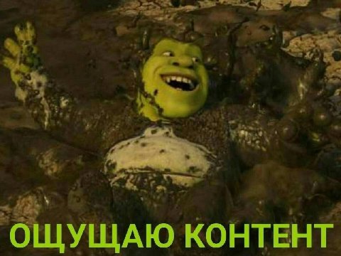 ОЩУЩАЮ КОНТЕНТ