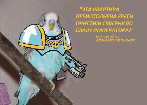 "ЭТА КВАРТИРА ПРЕИСПОЛНЕНА ЕРЕСИ ОЧИСТИМ СКВЕРНУ ВО СЛАВУ ИМПЕРАТОРА!" КАПИТАН ПОПУС, ПЕРВАЯ РОТА УЛЬТРАМАРИН he