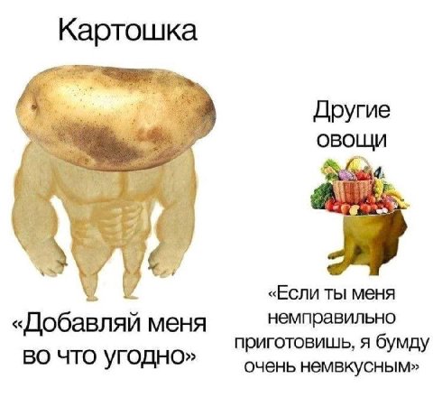 Картошка Другие овощи 7) «Если ты меня «Добавляй меня немправильно приготовишь, я бумду во что угодно» очень немвкусным»