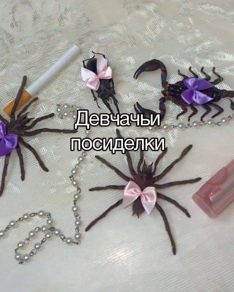 2 7%. чачьл сиделки 3 +7