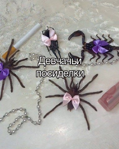 2 7%. чачьл сиделки 3 +7