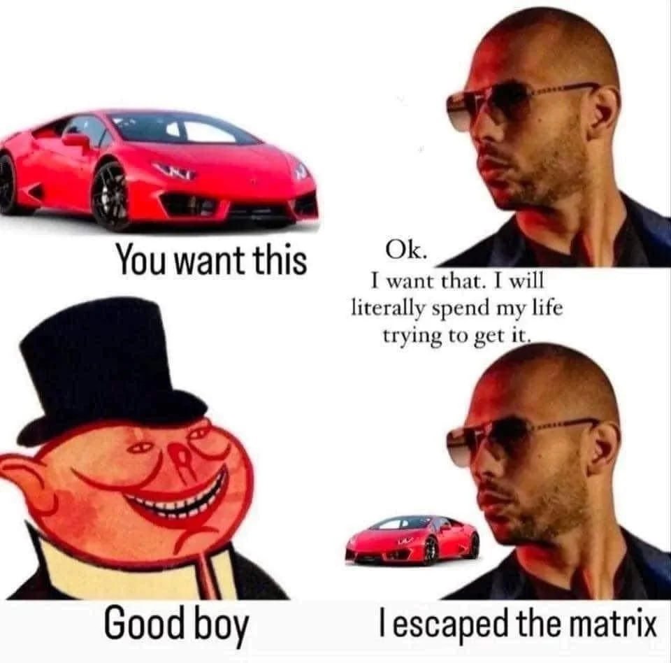 Youwantthis want that. I will literally spend my life trying to get it, Good boy escaped the matrix