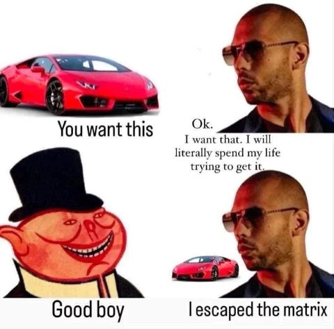 Youwantthis want that. I will literally spend my life trying to get it, Good boy escaped the matrix