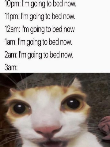 going to bed now going to bed now. going to bed now Jam: going to bed now. дат: going to bed now.