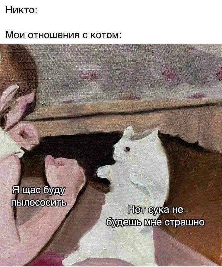 Никто: Мои отношения с котом: `Я щас буду пылесосить не будешьмне страшно