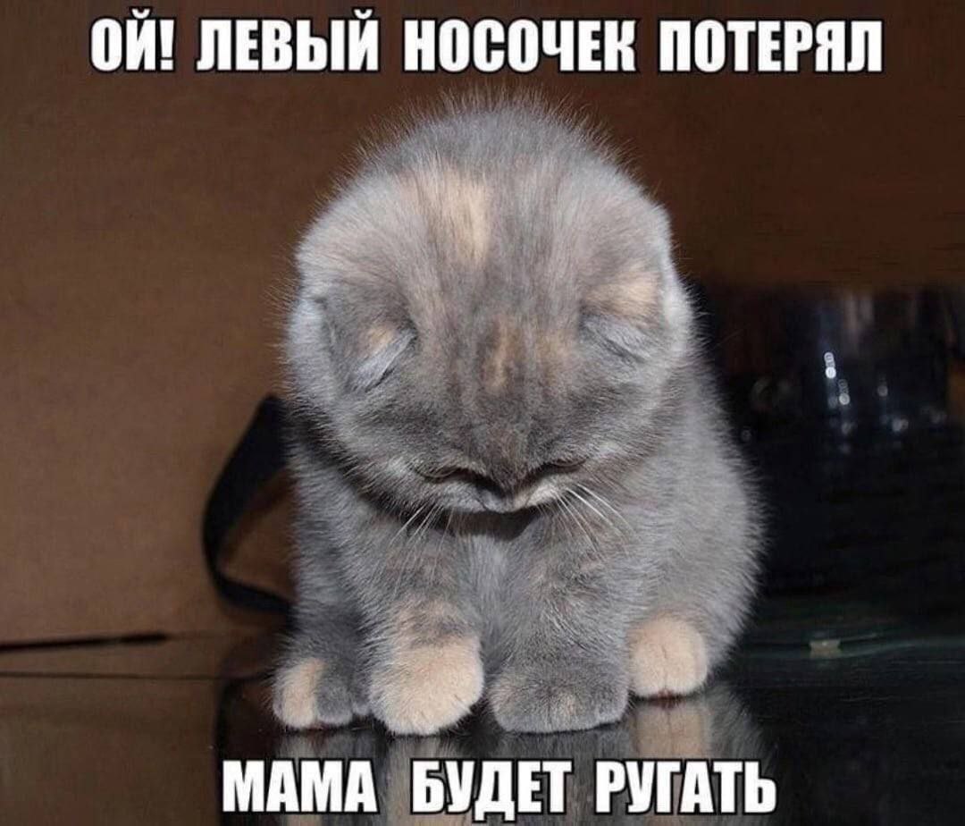 ЛЕВЫЙ НОСОЧЕК ПОТЕРЯЛ МАМА БУДЕТ РУГАТЬ