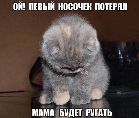 ЛЕВЫЙ НОСОЧЕК ПОТЕРЯЛ МАМА БУДЕТ РУГАТЬ