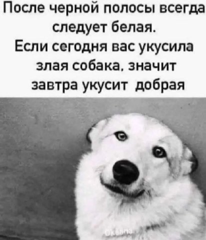 После черной полосы всегда следует белая. Если сегодня вас укусила злая собака, значит завтра укусит добрая a
