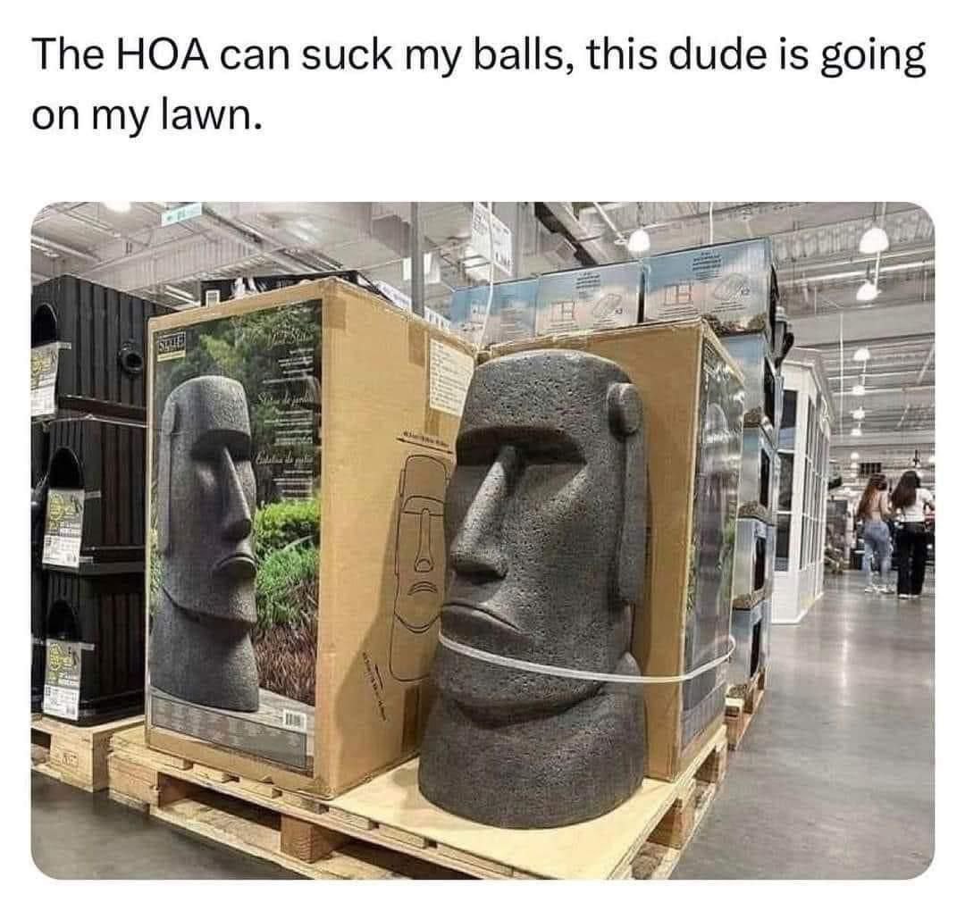The HOA can suck balls, this dude is going on my lawn. 2