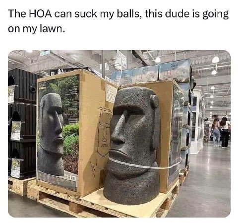 The HOA can suck balls, this dude is going on my lawn. 2