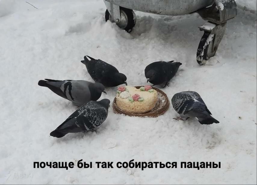 почаще бы так собираться пацаны