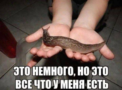 ЭТО НЕМНОГО, НО ЭТО ВСЕЧТО У МЕНЯ ЕСТЬ